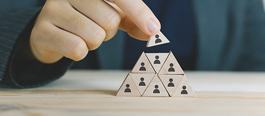 Human Capital Management