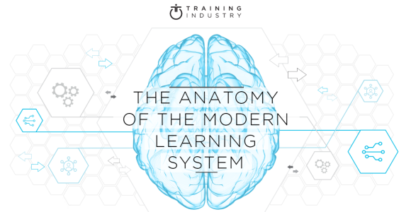 The anatomy of the modern learning system