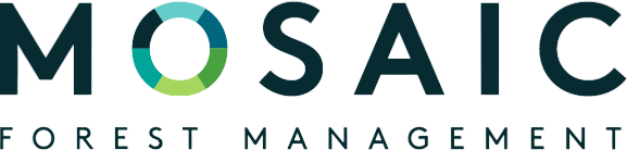Mosaic-Logo