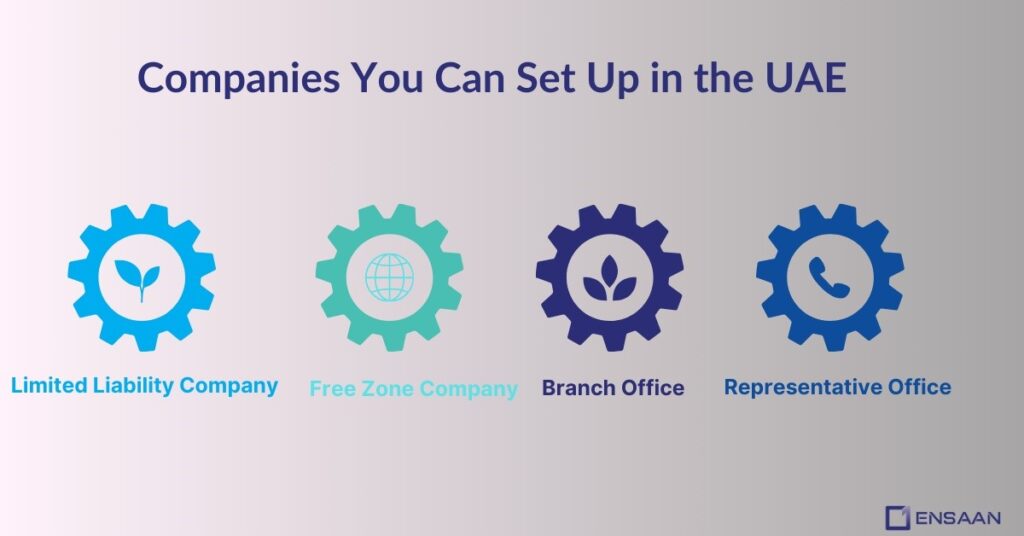 Types of Companies You Can Setup in the UAE ; ensaantech.com